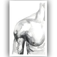 Poster - Torso